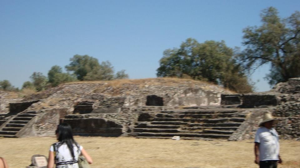 Imagen 11
