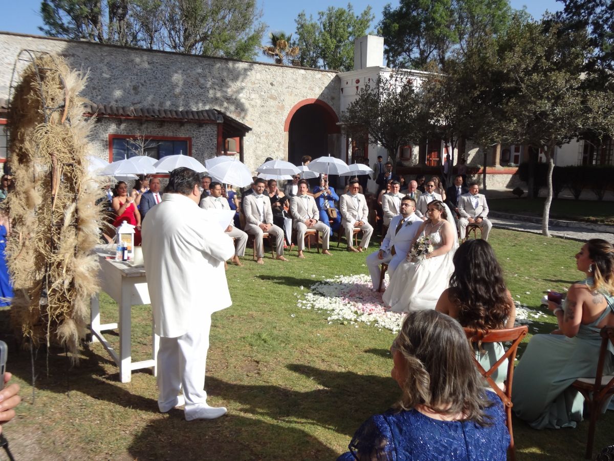 Imagen 6